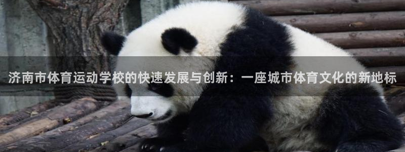 oety欧亿体育官网下载招商电话号码是多少啊：济南市体育运动