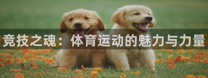 oety欧亿体育官网下载招商电话是多少：竞技之魂：体