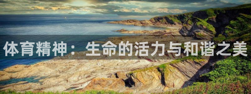 oety欧亿体育官网下载平台注册流程视频：体育精神：