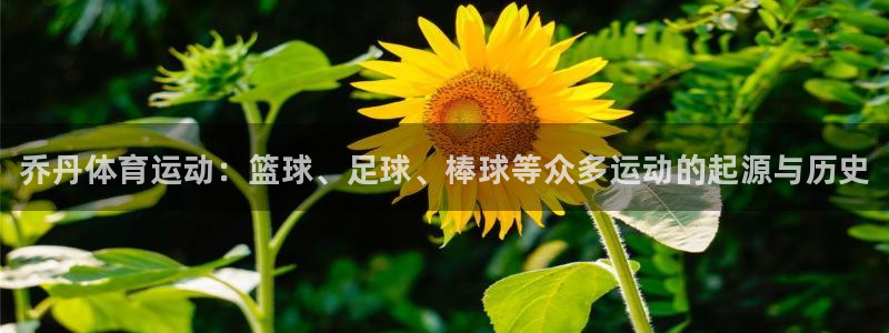 oety欧亿体育官网下载招商电话是多少：乔丹体育运动：篮球、