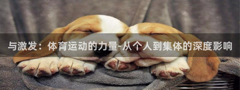 海南oety欧亿体育官网下载：与激发：体育运动的力量-从个人