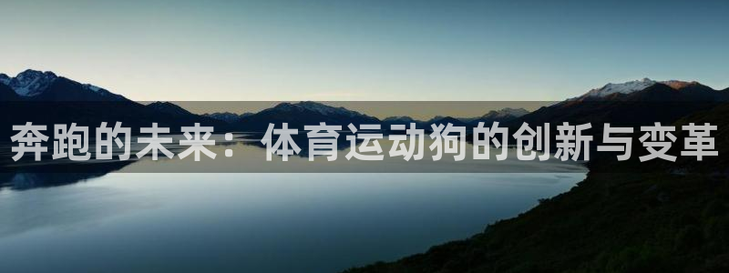 oety欧亿体育官网下载平台注册：奔跑的未来：体育运