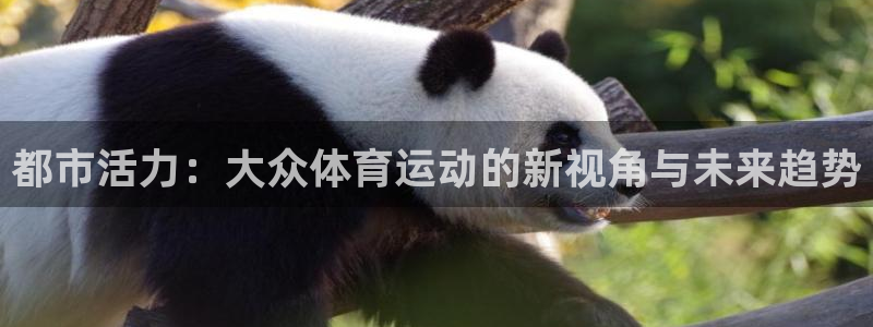 oety欧亿体育官网下载招商电话是多少：都市活力：大众体育运