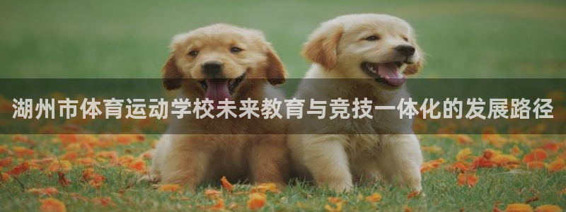 oety欧亿体育官网下载平台是正规平台吗安全吗：湖州市体育运