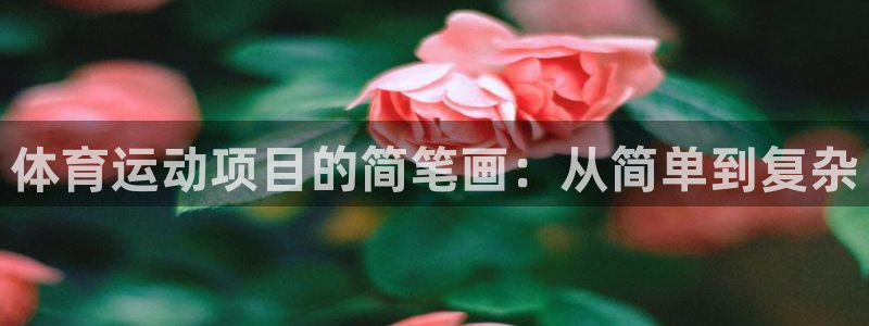 oety欧亿体育官网下载招商电话是多少：体育运动项目的简笔画