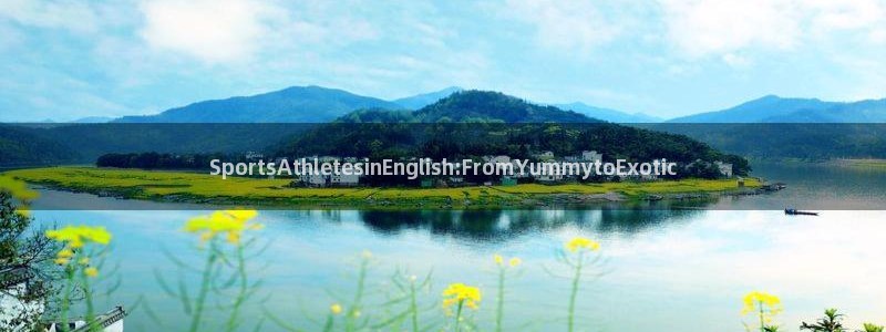 oety欧亿体育官网下载平台：SportsAthletesi