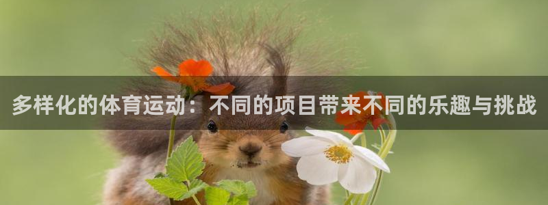 欧亿官网下载appios.交易所app官方.中国：多样化的体