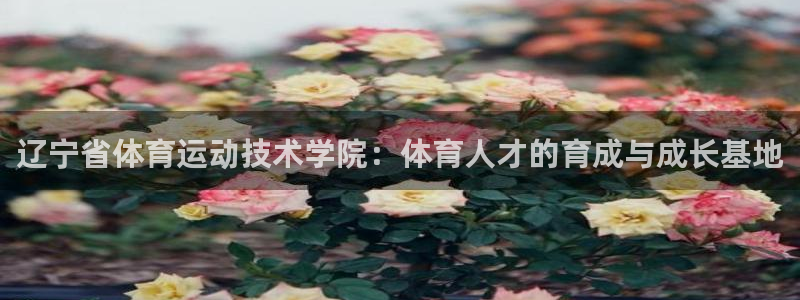  欧亿平台客户端：辽宁省体育运动技术学院：体育人才的育成与成长