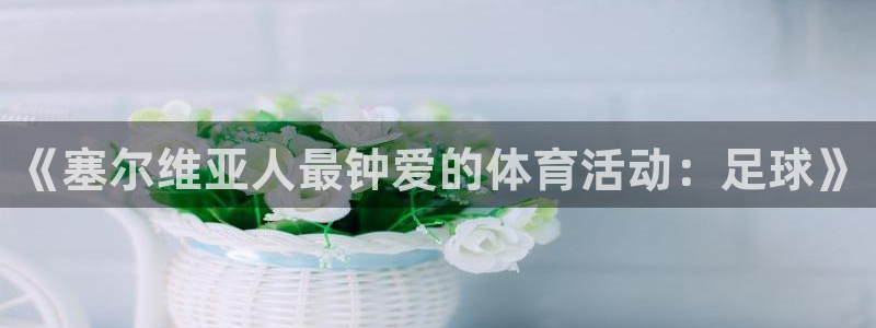 OE欧亿平台登录入口：《塞尔维亚人最钟爱的体育活动：足球》