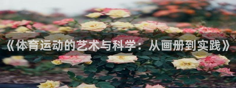  欧亿app官方下载最新版本更新内容：《体育运动的艺术与科学：
