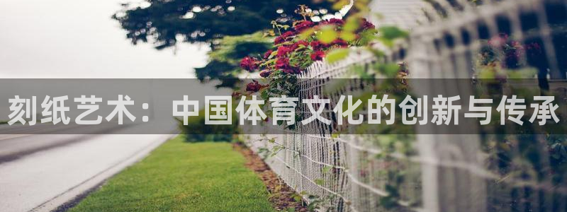  欧亿注册登录：刻纸艺术：中国体育文化的创新与传承